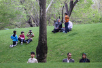 vahid sohrabi0013-1.jpg